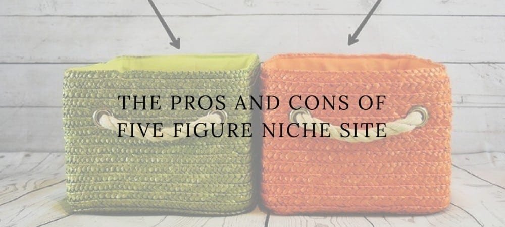 The Pros and Cons of Five Figure Niche Site