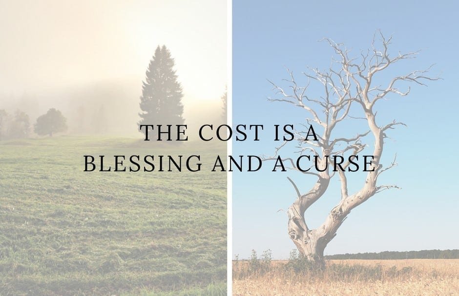 The Cost Is A Blessing And A Curse