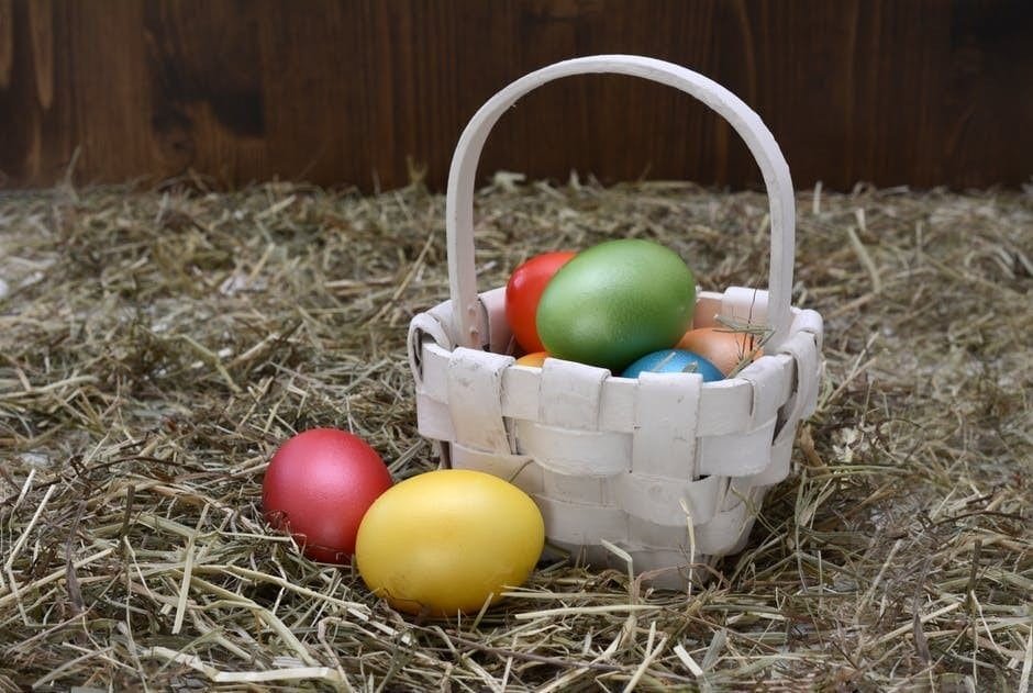 don't put all of your eggs in one basket