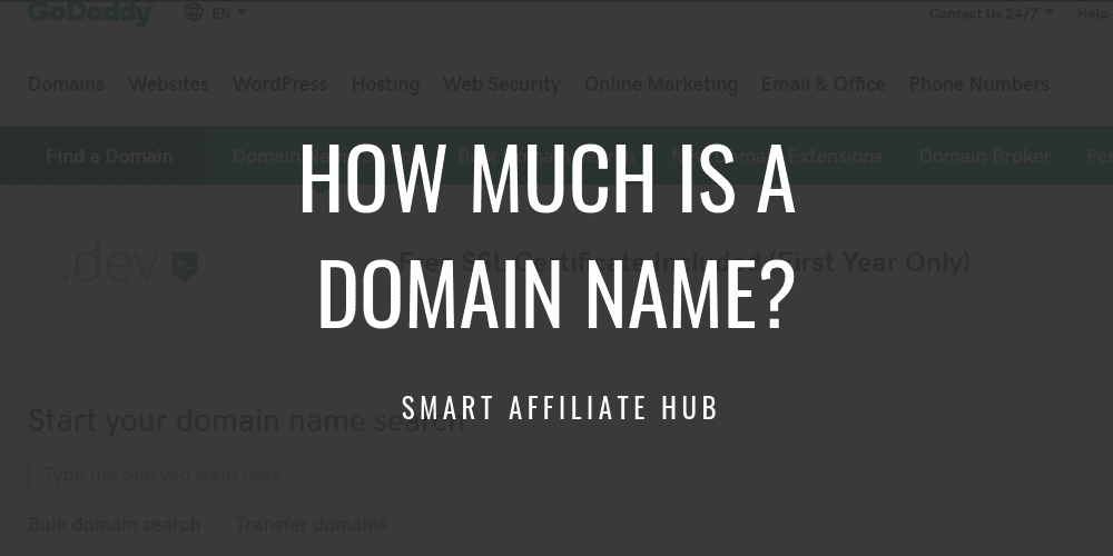 How Much Is A Domain Name?